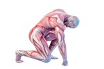 GTi Online Course - Anatomy & Physiology